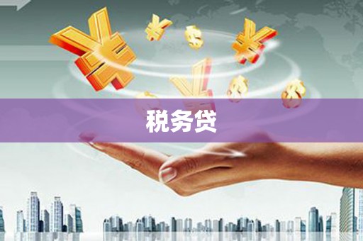 濉溪税务贷