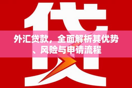 濉溪外汇贷款，全面解析其优势、风险与申请流程