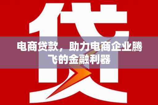 濉溪电商贷款，助力电商企业腾飞的金融利器