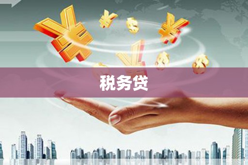 濉溪税务贷
