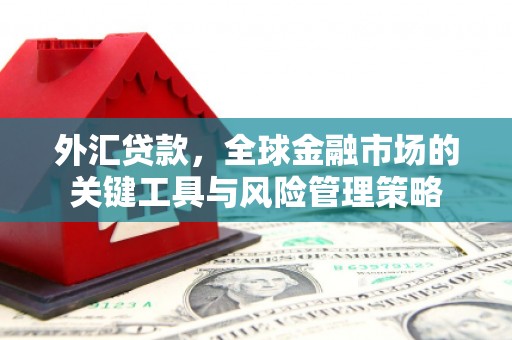 濉溪外汇贷款，全球金融市场的关键工具与风险管理策略