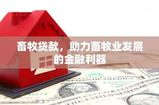 濉溪畜牧贷款，助力畜牧业发展的金融利器