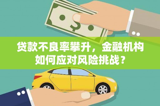 濉溪贷款不良率攀升，金融机构如何应对风险挑战？
