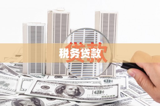 濉溪税务贷款