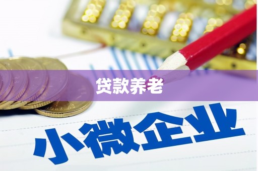 濉溪贷款养老