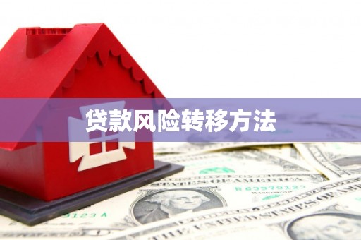 濉溪贷款风险转移方法