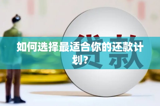 濉溪如何选择最适合你的还款计划？