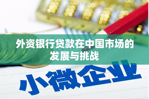 濉溪外资银行贷款在中国市场的发展与挑战
