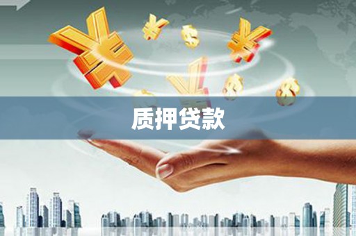 濉溪质押贷款