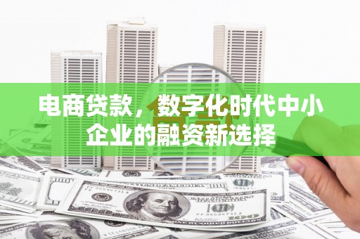 濉溪电商贷款，数字化时代中小企业的融资新选择