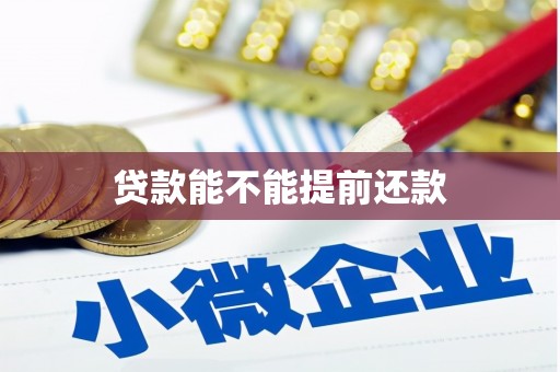 濉溪贷款能不能提前还款