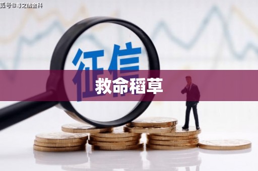 濉溪救命稻草