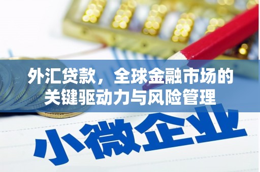 濉溪外汇贷款，全球金融市场的关键驱动力与风险管理