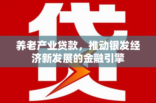濉溪养老产业贷款，推动银发经济新发展的金融引擎