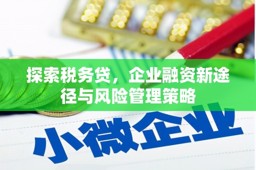 濉溪探索税务贷，企业融资新途径与风险管理策略