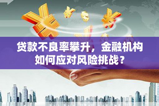 濉溪贷款不良率攀升，金融机构如何应对风险挑战？