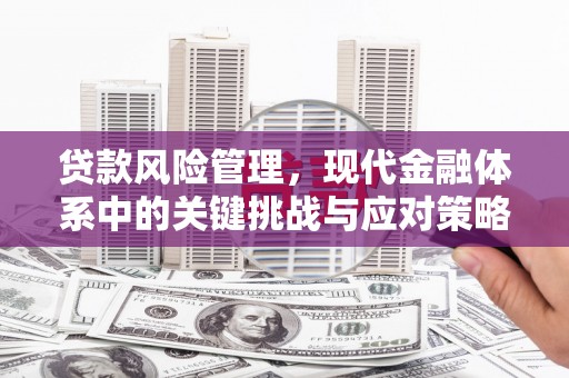 濉溪贷款风险管理，现代金融体系中的关键挑战与应对策略