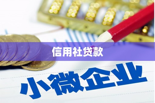 濉溪信用社贷款