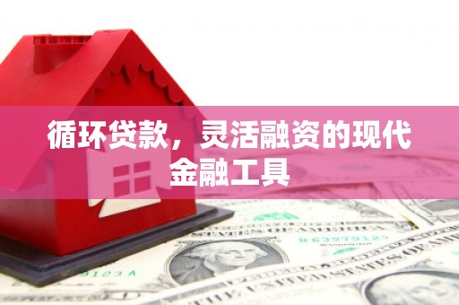 濉溪循环贷款，灵活融资的现代金融工具