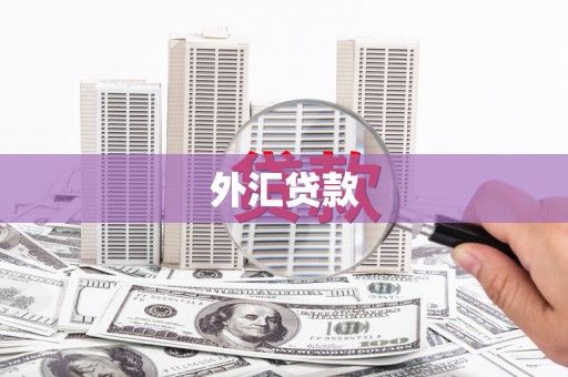 濉溪外汇贷款