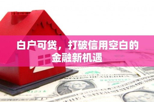 濉溪白户可贷，打破信用空白的金融新机遇
