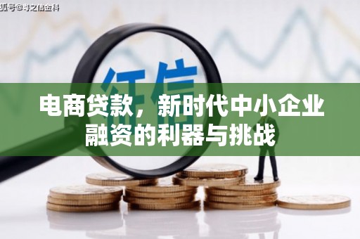 濉溪电商贷款，新时代中小企业融资的利器与挑战
