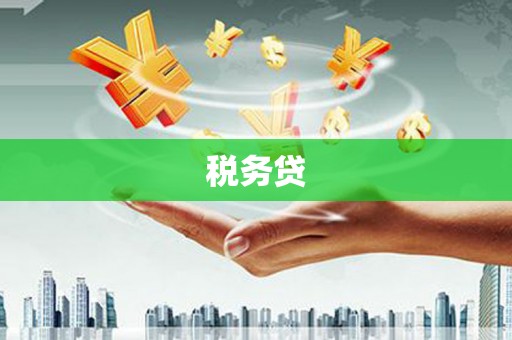 濉溪税务贷