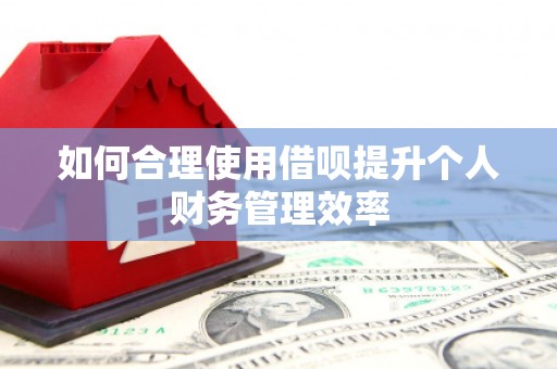 濉溪如何合理使用借呗提升个人财务管理效率