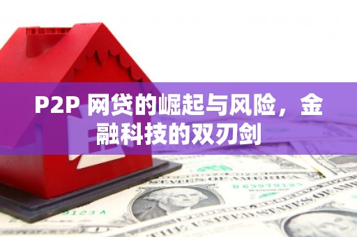 濉溪P2P 网贷的崛起与风险，金融科技的双刃剑