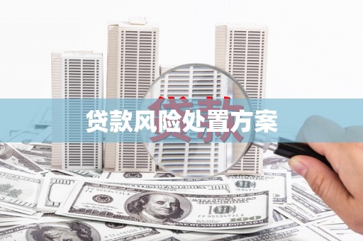 濉溪贷款风险处置方案