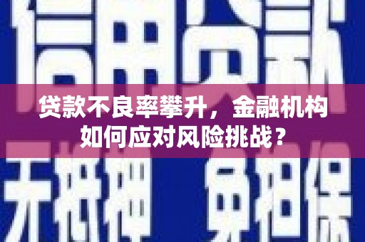 濉溪贷款不良率攀升，金融机构如何应对风险挑战？