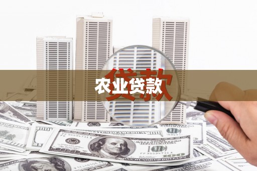 濉溪农业贷款