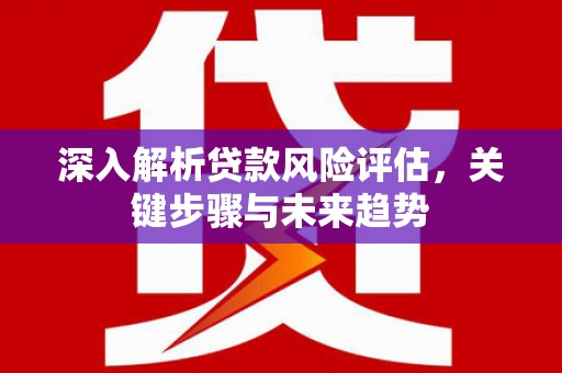 濉溪深入解析贷款风险评估，关键步骤与未来趋势