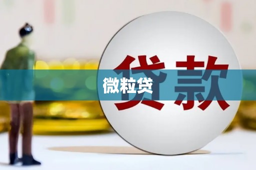 濉溪微粒贷