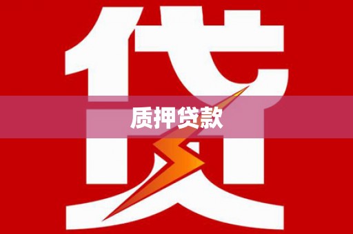 濉溪质押贷款