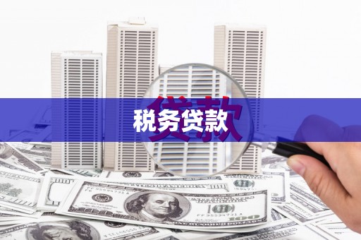 濉溪税务贷款