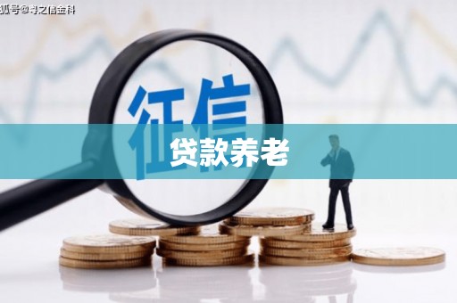 濉溪贷款养老