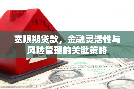 濉溪宽限期贷款，金融灵活性与风险管理的关键策略