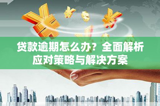 濉溪贷款逾期怎么办？全面解析应对策略与解决方案