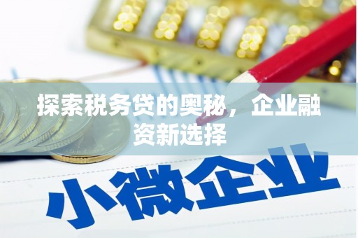 濉溪探索税务贷的奥秘，企业融资新选择