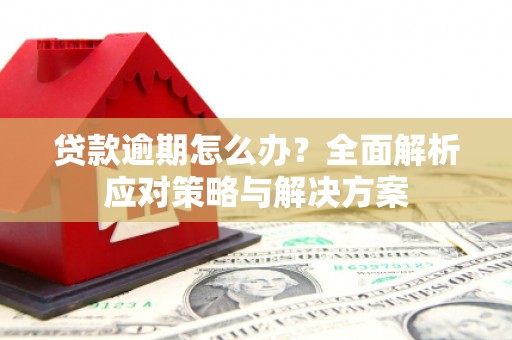 濉溪贷款逾期怎么办？全面解析应对策略与解决方案
