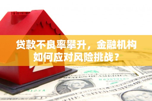 濉溪贷款不良率攀升，金融机构如何应对风险挑战？