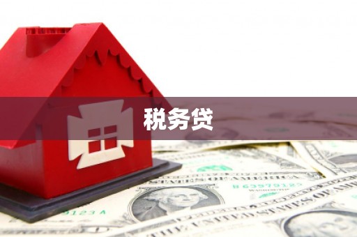 濉溪税务贷