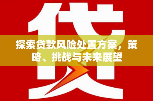 濉溪探索贷款风险处置方案，策略、挑战与未来展望