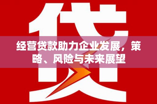 濉溪经营贷款助力企业发展，策略、风险与未来展望