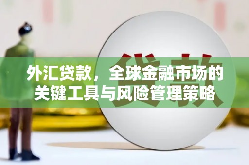 濉溪外汇贷款，全球金融市场的关键工具与风险管理策略