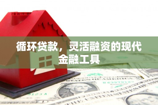 濉溪循环贷款，灵活融资的现代金融工具