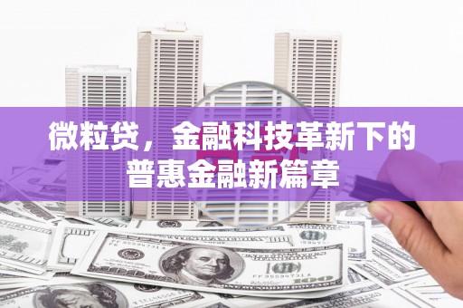 濉溪微粒贷，金融科技革新下的普惠金融新篇章