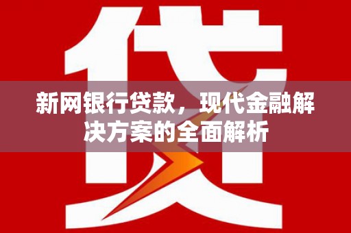 濉溪新网银行贷款，现代金融解决方案的全面解析