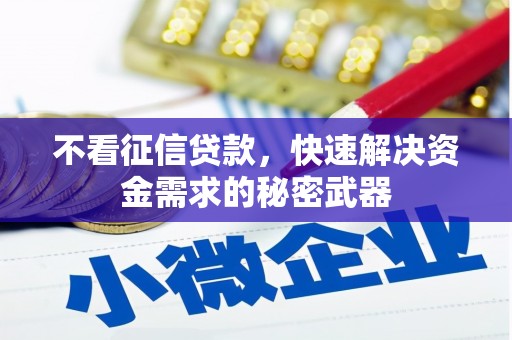 濉溪不看征信贷款，快速解决资金需求的秘密武器